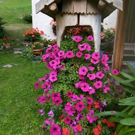 B&B Pra' Dei Cervi Telve Kültér fotó