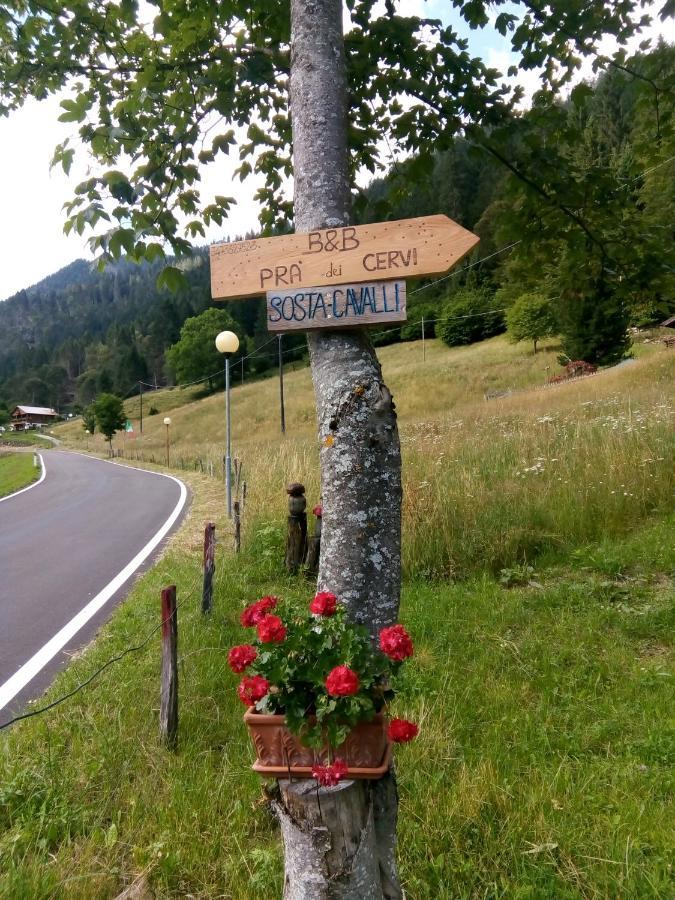 B&B Pra' Dei Cervi Telve Kültér fotó