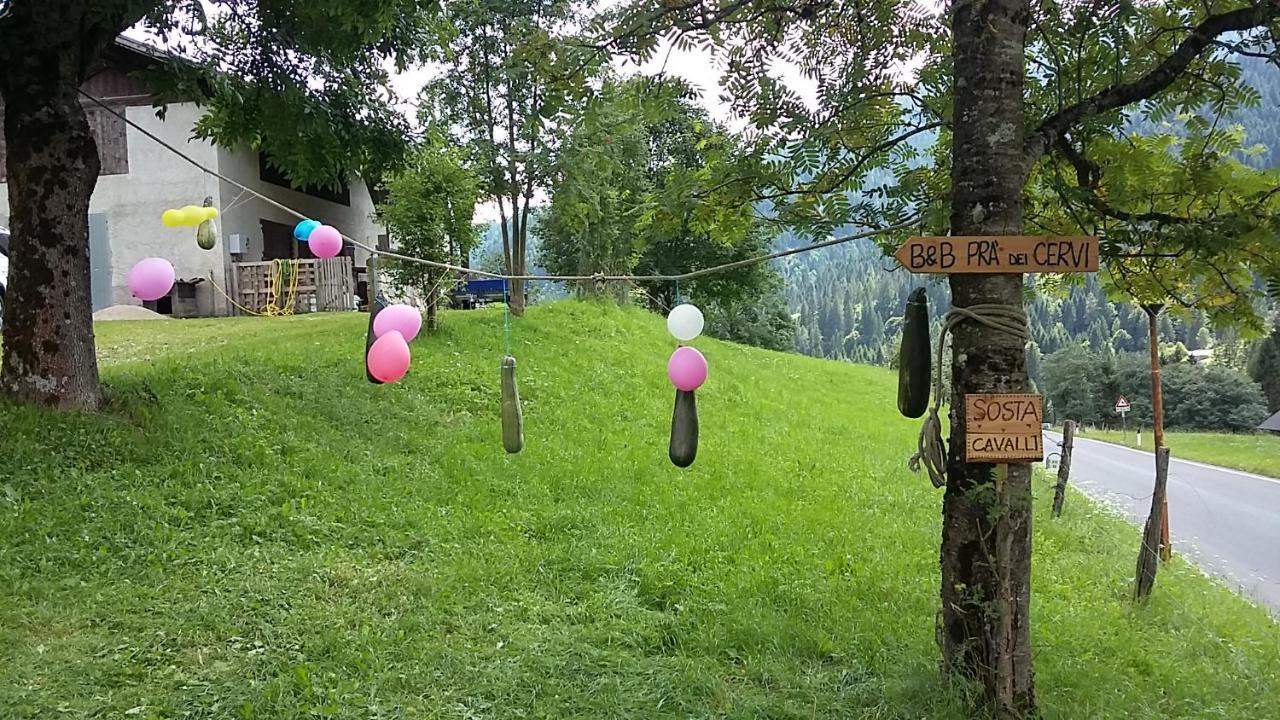 B&B Pra' Dei Cervi Telve Kültér fotó