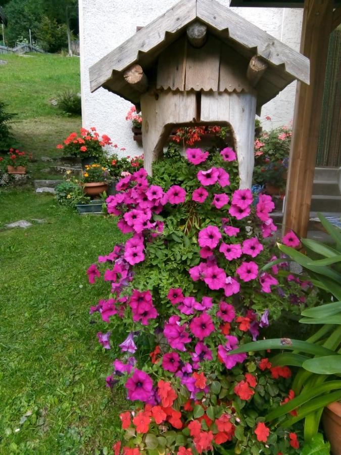B&B Pra' Dei Cervi Telve Kültér fotó