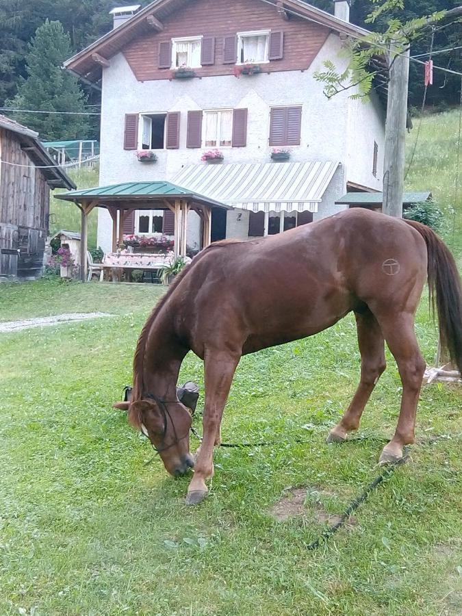 B&B Pra' Dei Cervi Telve Kültér fotó