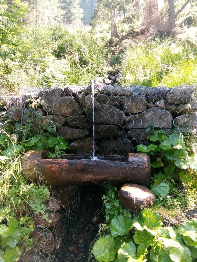 B&B Pra' Dei Cervi Telve Kültér fotó
