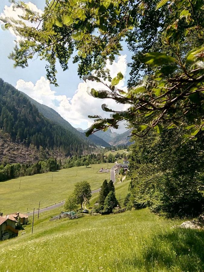 B&B Pra' Dei Cervi Telve Kültér fotó