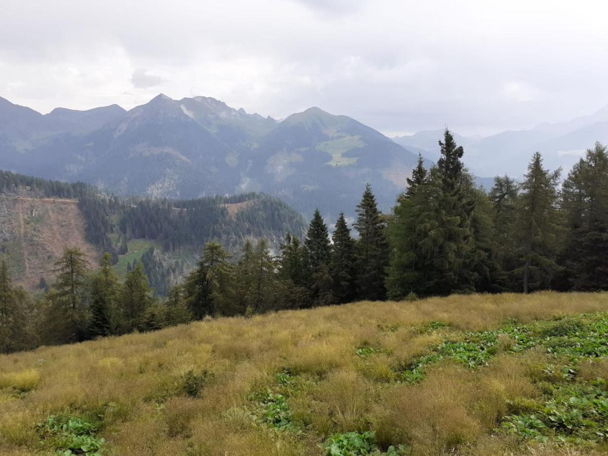 B&B Pra' Dei Cervi Telve Kültér fotó